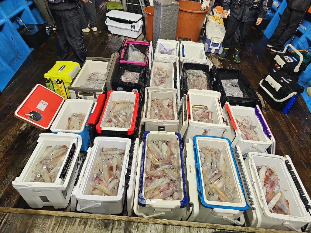 기타 (직접입력), 삼포대교낚시, 낚시뚜