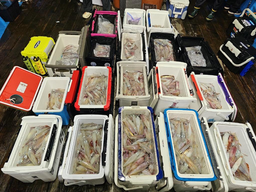 기타 (직접입력), 삼포대교낚시, 낚시뚜