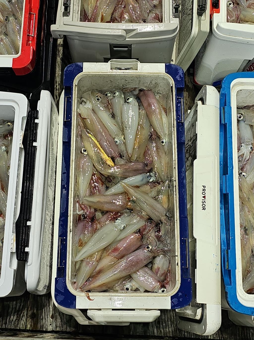 기타 (직접입력), 삼포대교낚시, 낚시뚜
