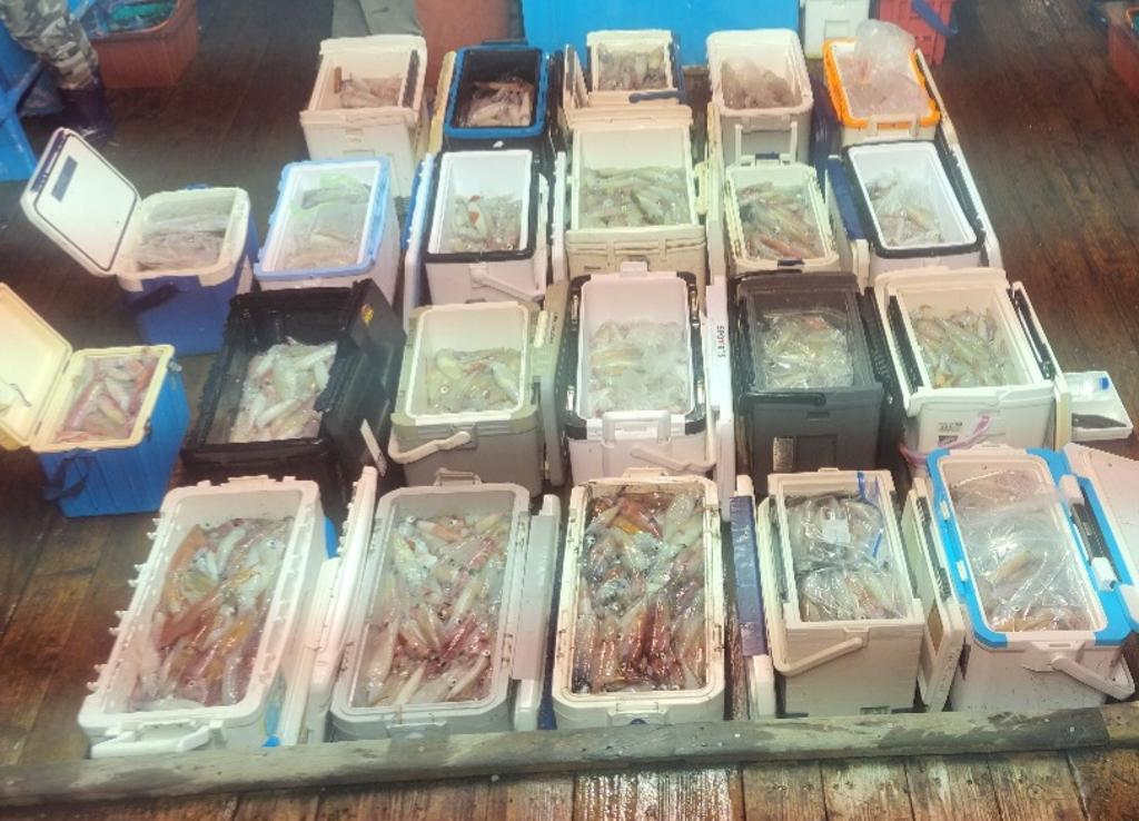 기타 (직접입력), 삼포대교낚시, 낚시뚜