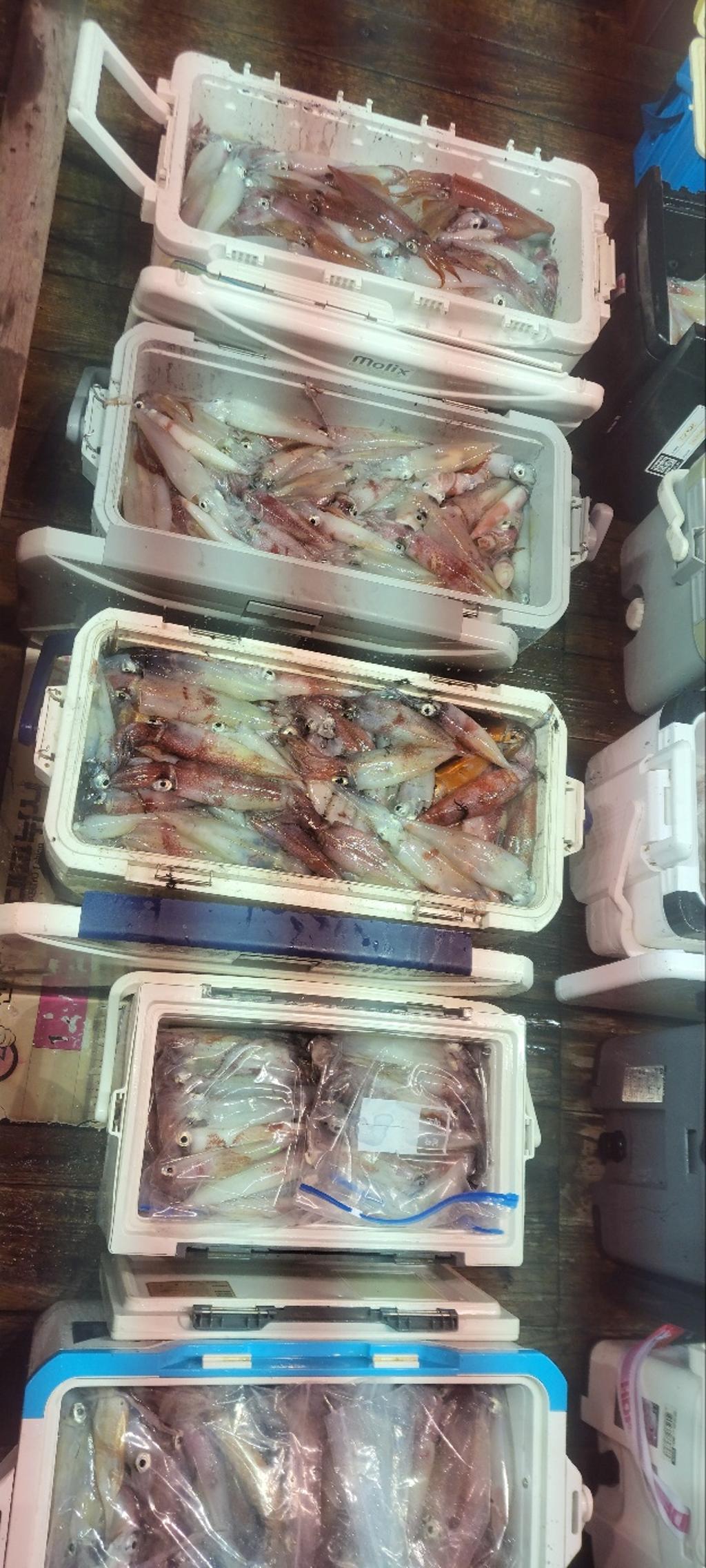기타 (직접입력), 삼포대교낚시, 낚시뚜