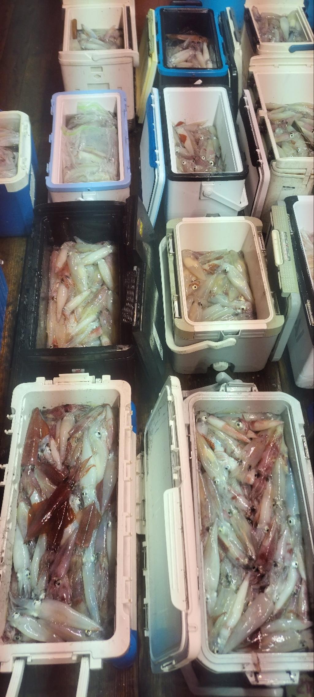 기타 (직접입력), 삼포대교낚시, 낚시뚜