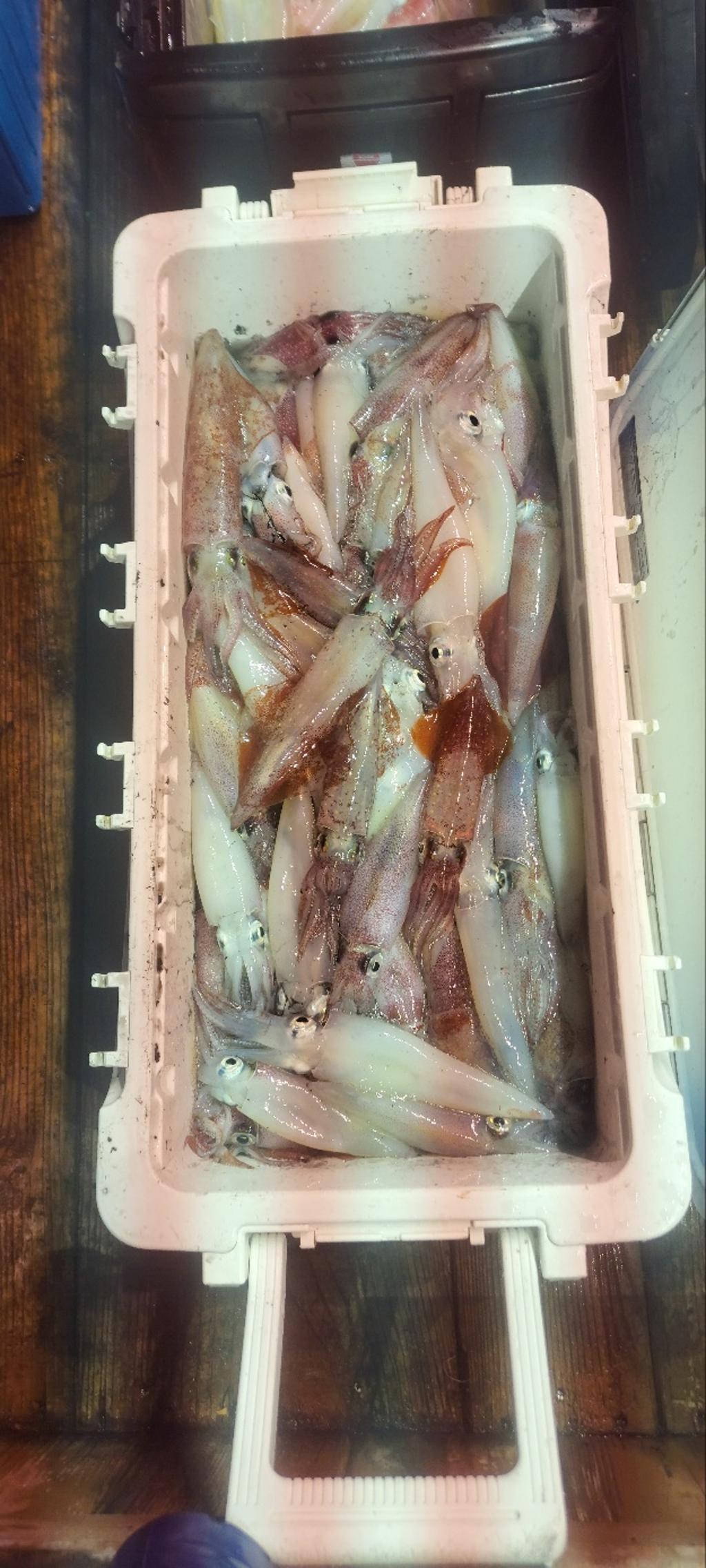 기타 (직접입력), 삼포대교낚시, 낚시뚜