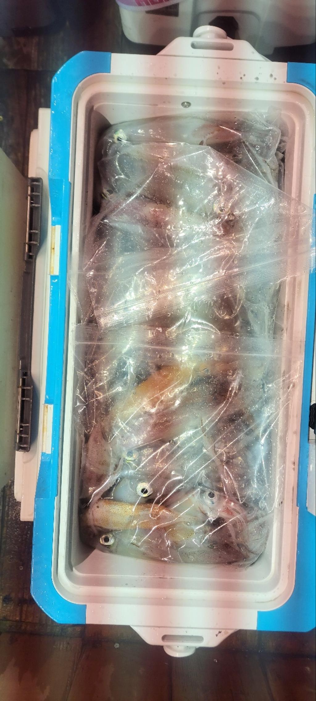 기타 (직접입력), 삼포대교낚시, 낚시뚜