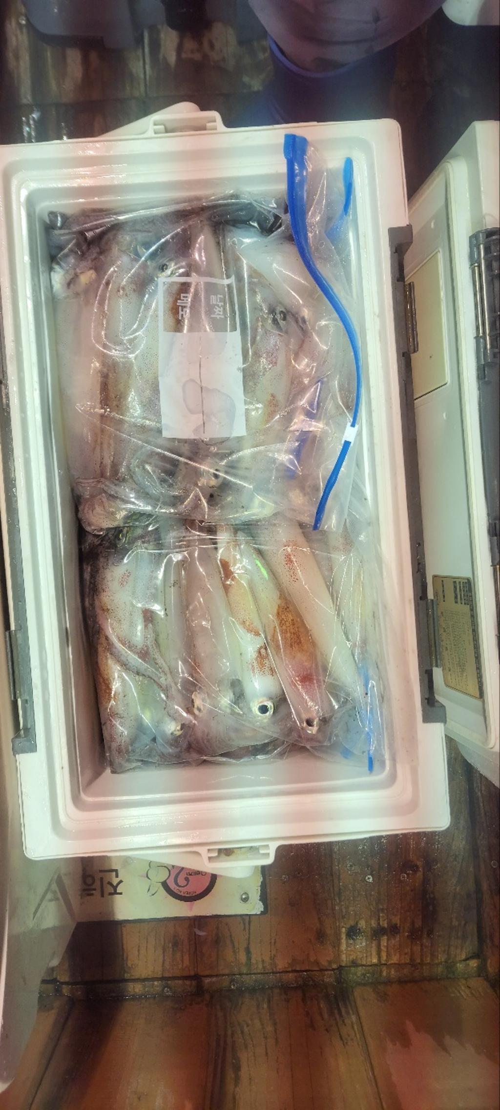 기타 (직접입력), 삼포대교낚시, 낚시뚜