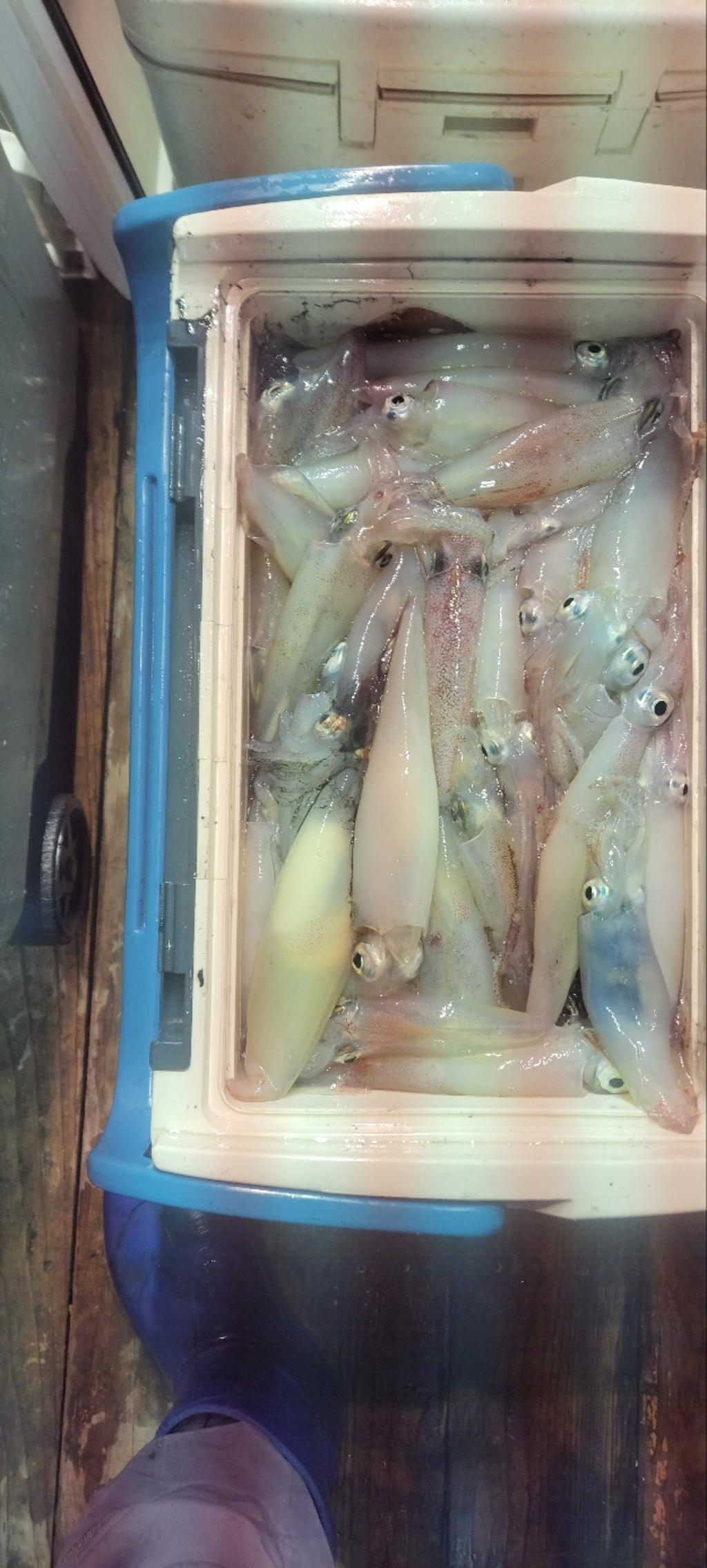 기타 (직접입력), 삼포대교낚시, 낚시뚜