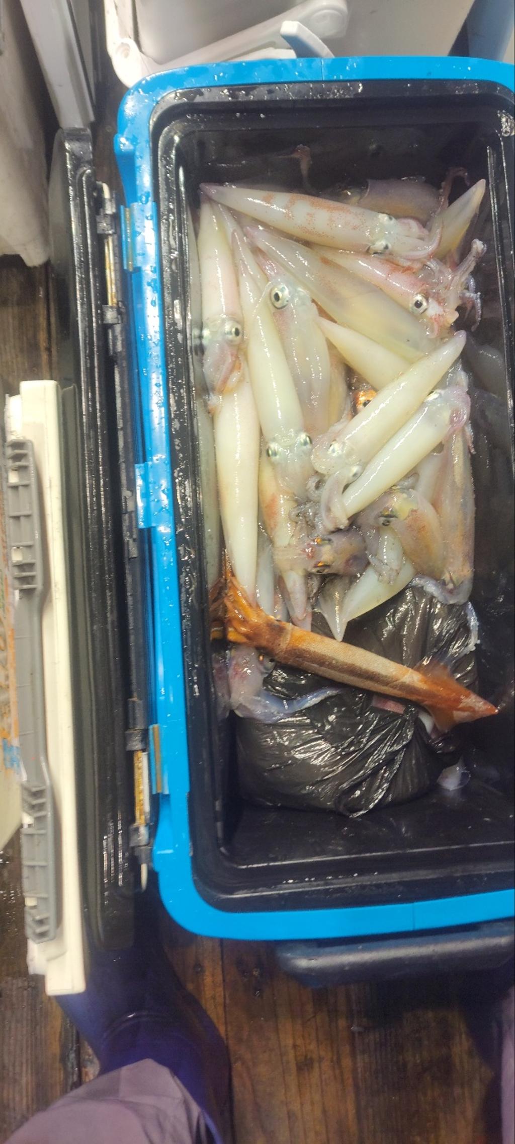 기타 (직접입력), 삼포대교낚시, 낚시뚜