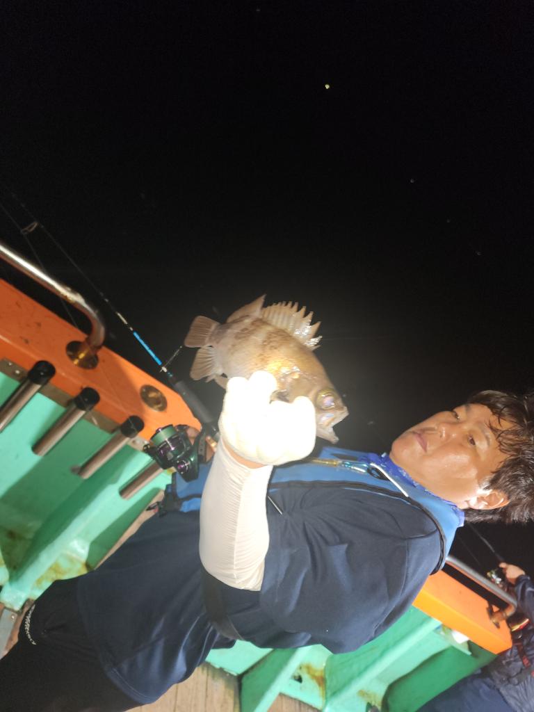 F24490877V.jpg