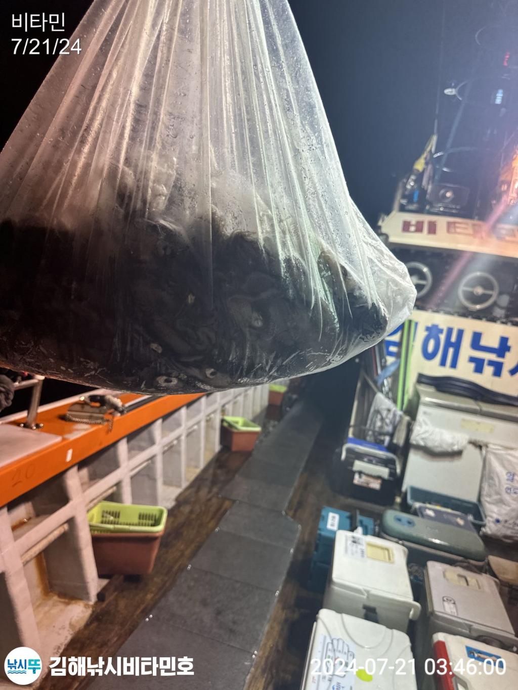 낚시뚜,한치,진해 안골항,김해낚시 비타민호,낚시뚜12