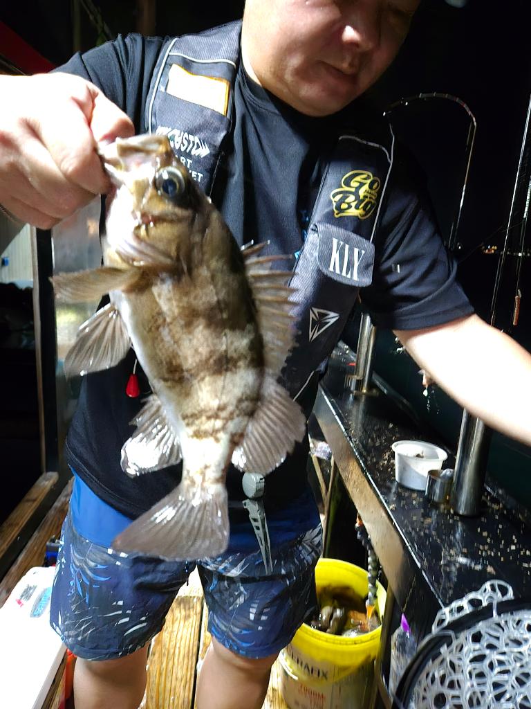 F2457540QH.jpg