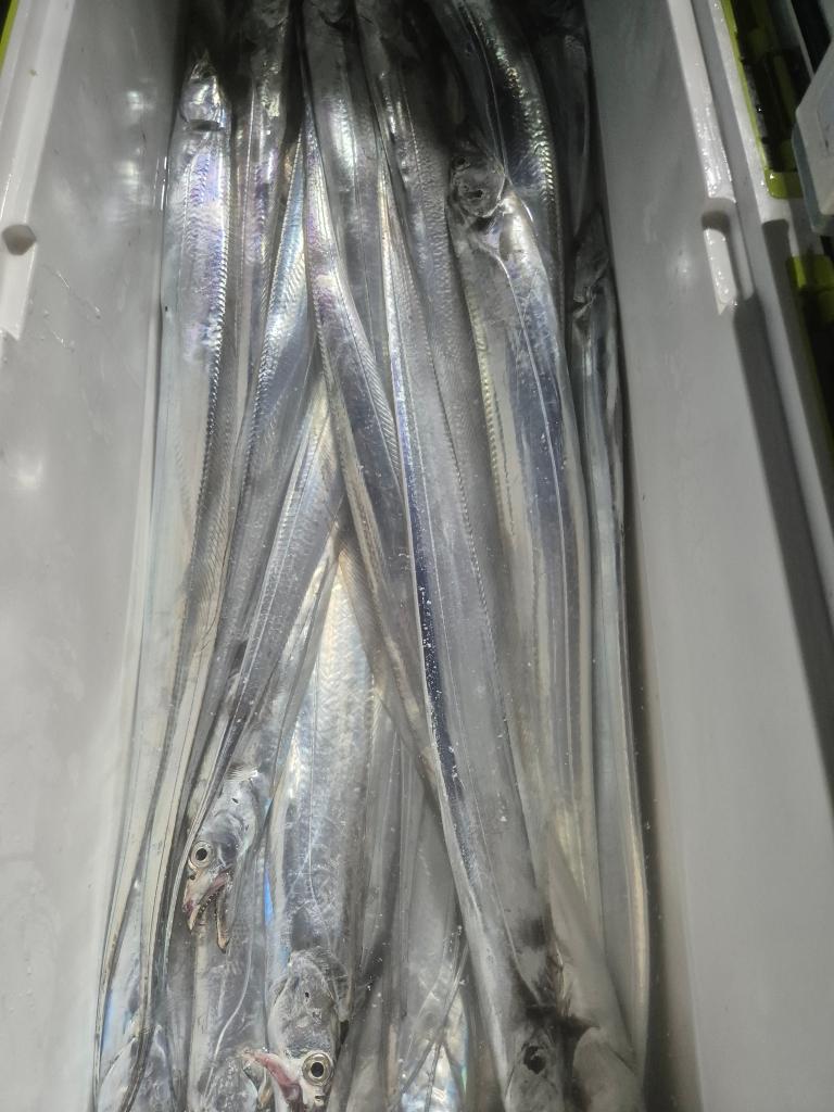 F2459199C2.jpg