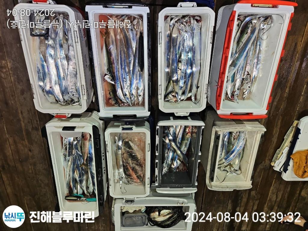 F2461504TB.jpg
