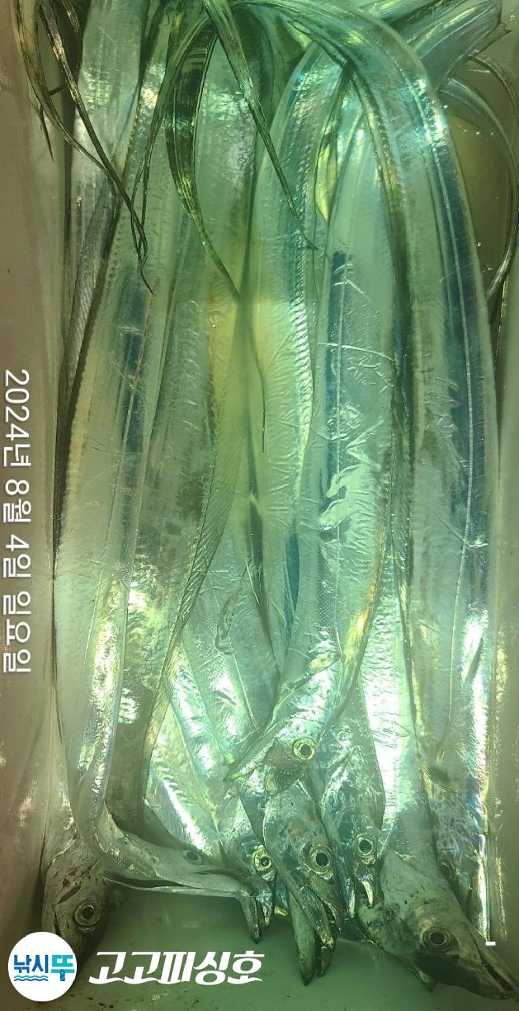 F24615986X.jpg