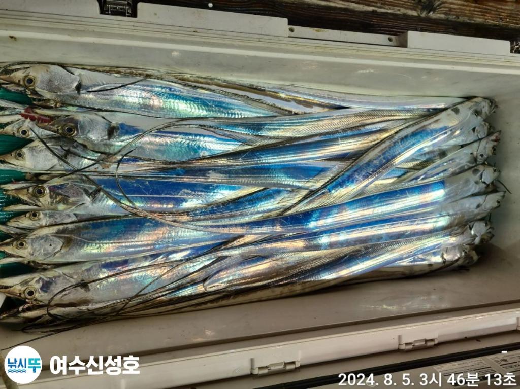 F2463398BT.jpg
