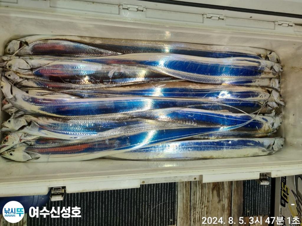 F2463400OA.jpg