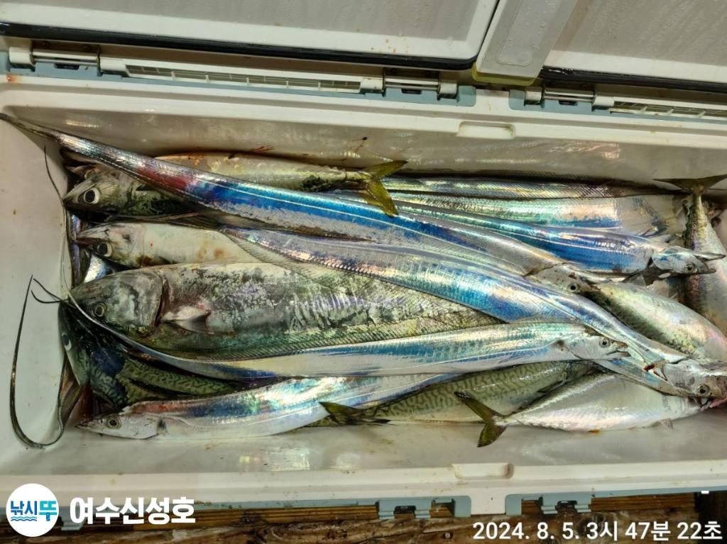 F24634014G.jpg