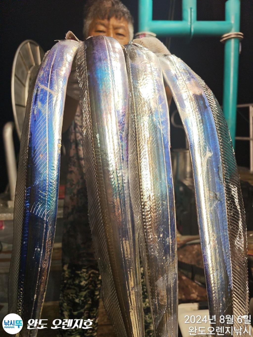 F24640570V.jpg