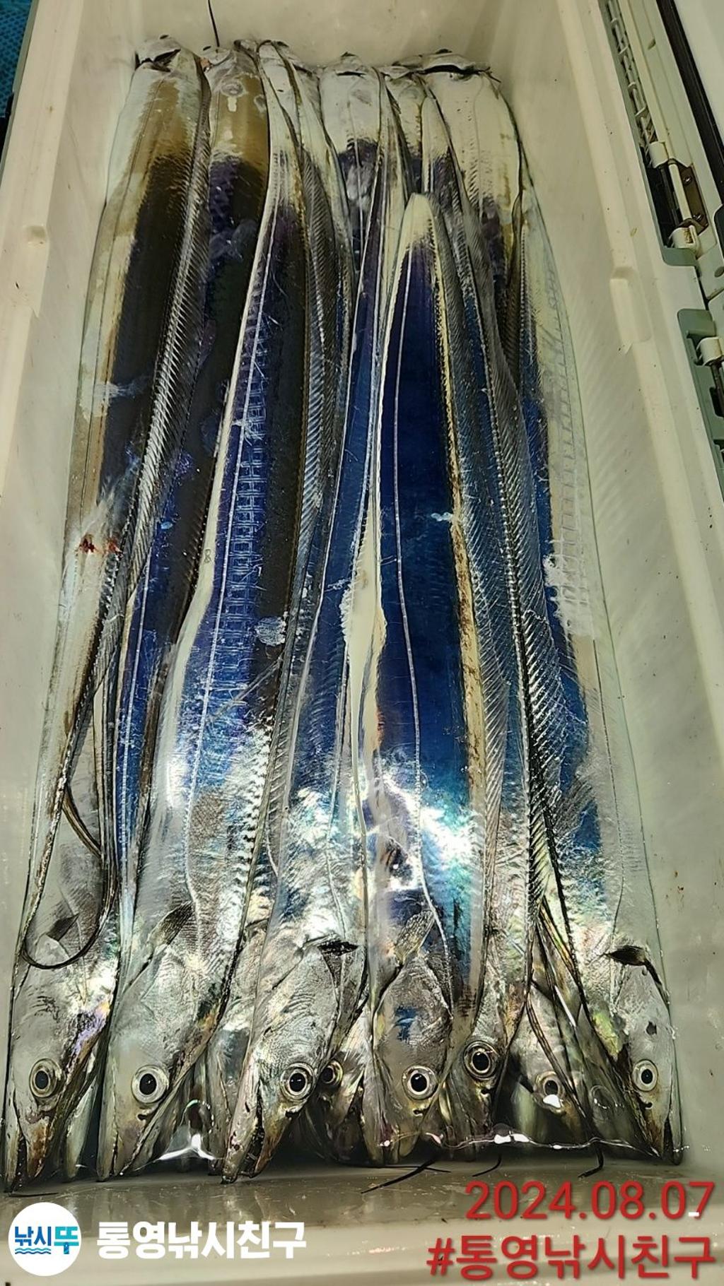 F24650139S.jpg