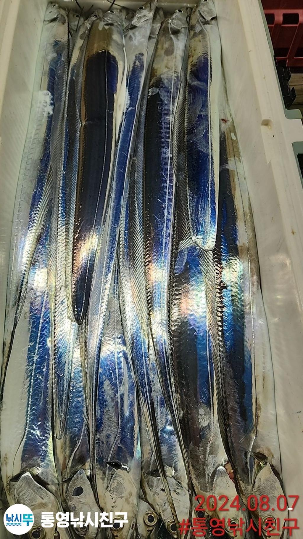 F2465016YO.jpg