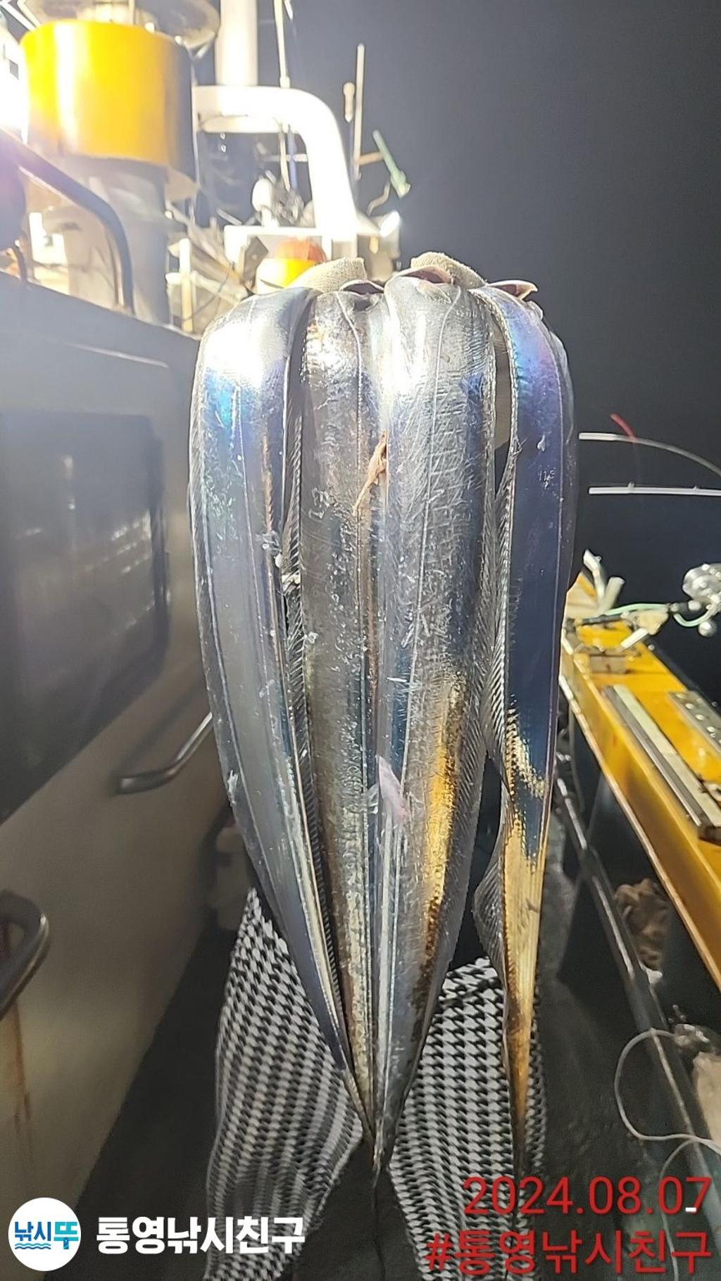 F246502513.jpg