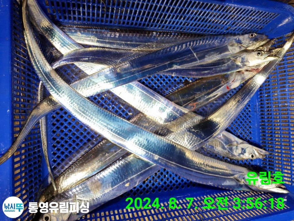 F2465248QP.jpg