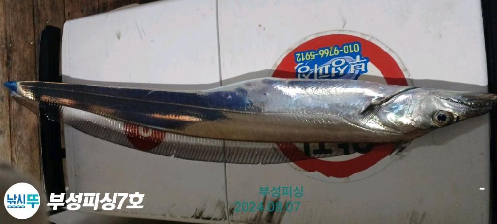 F2465920DZ.jpg
