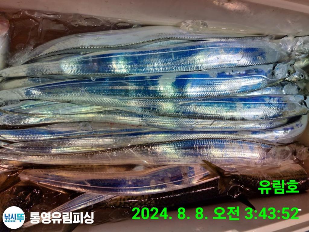 F2466008EB.jpg