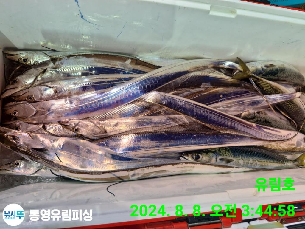 F24660117D.jpg