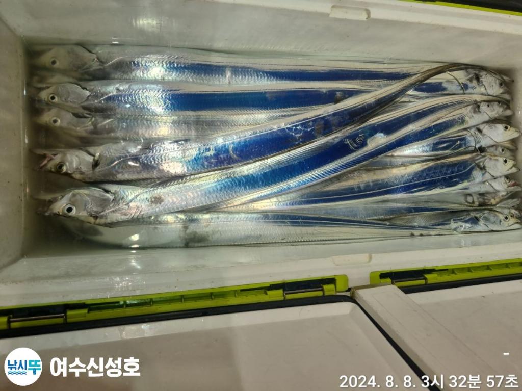 F2466391BD.jpg