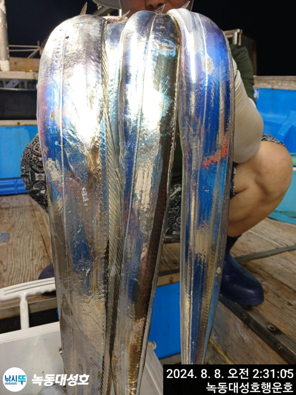 낚시뚜,갈치,녹동항,녹동대성호,낚시뚜7