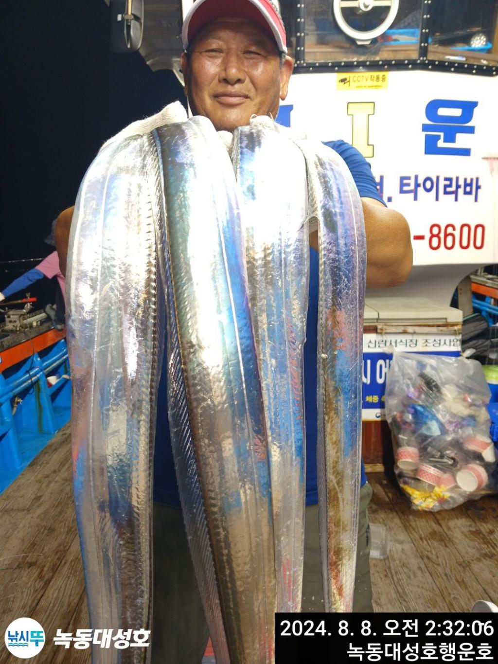 낚시뚜,갈치,녹동항,녹동대성호,낚시뚜0