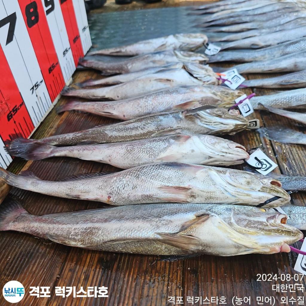 F2467603PP.jpg