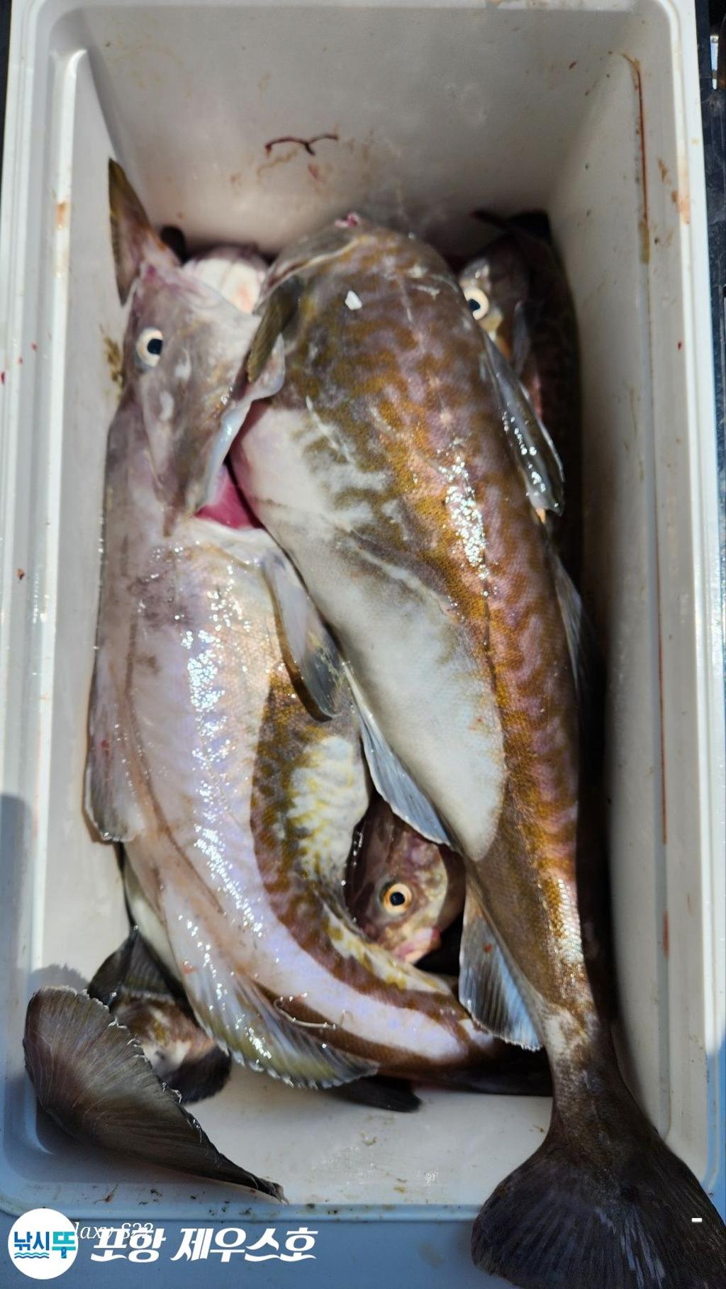 F24680554L.jpg