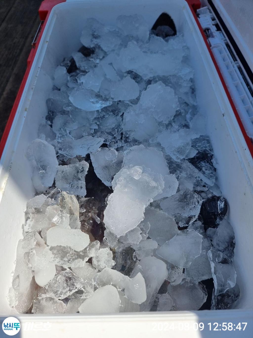 F2468112I6.jpg