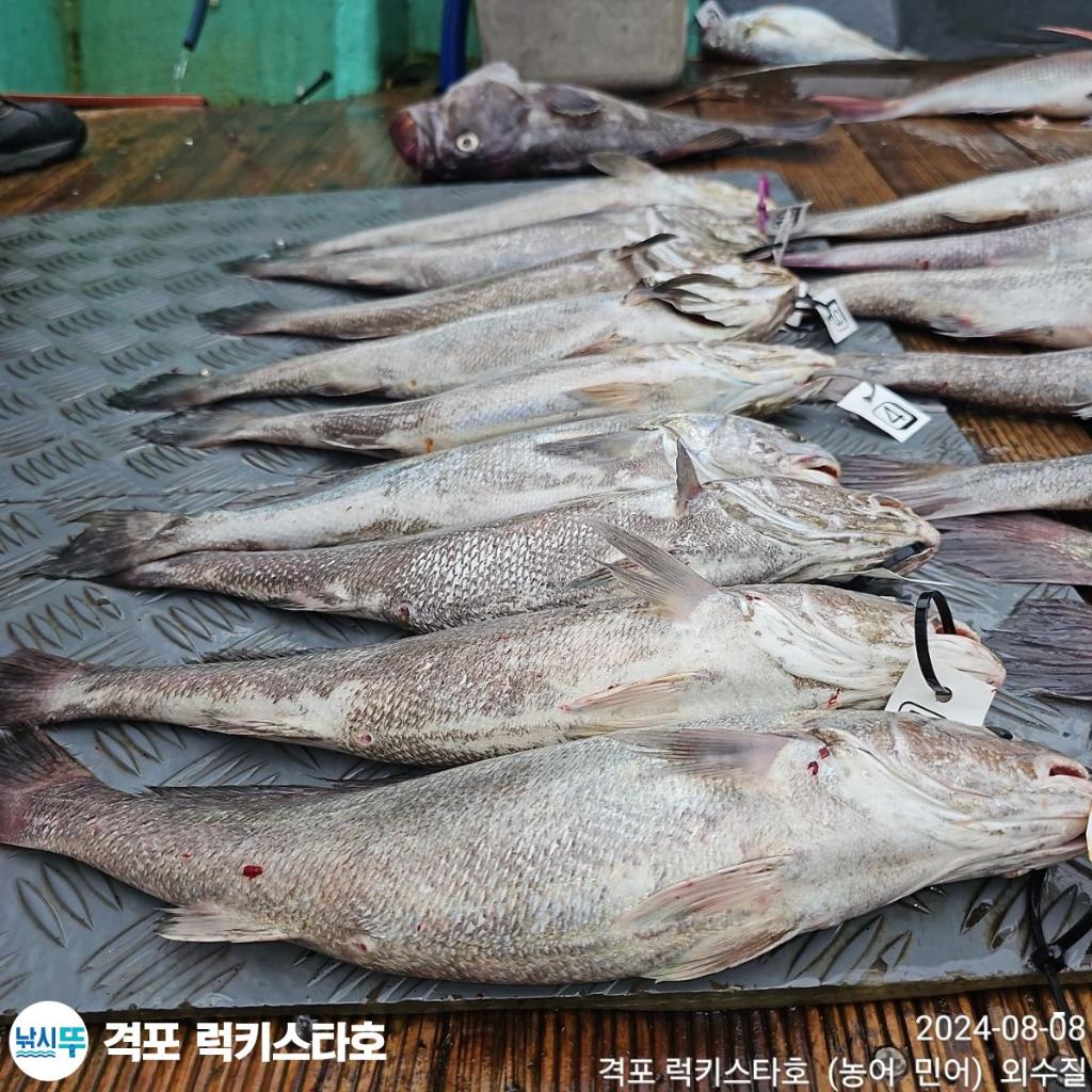 F2468630GM.jpg