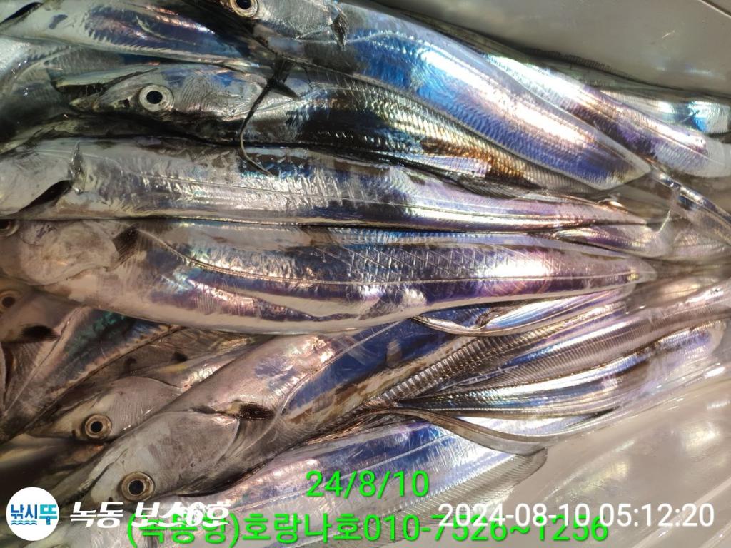 F2469656MY.jpg