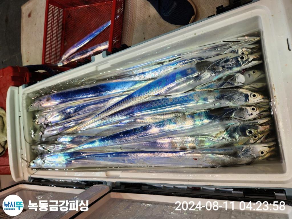 F2470529GV.jpg