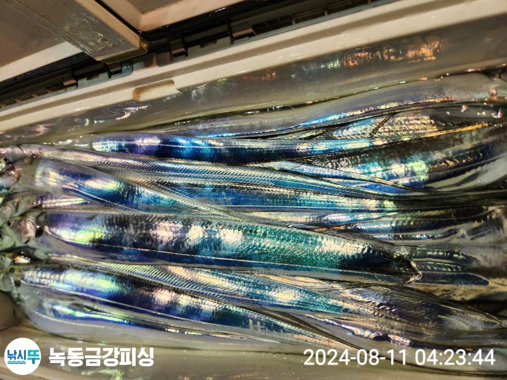 F2470530CL.jpg
