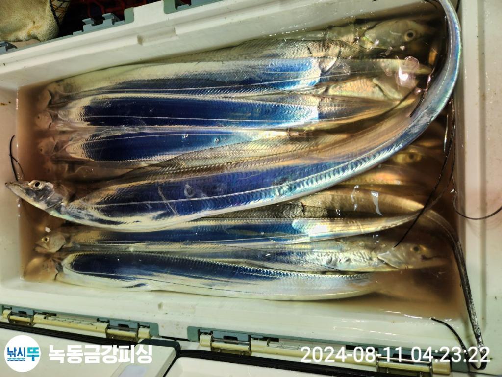 F2470531QE.jpg