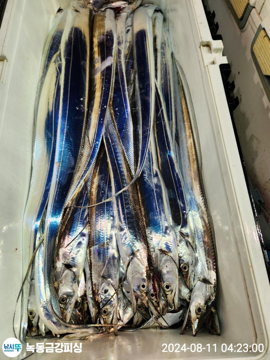 F2470532BI.jpg