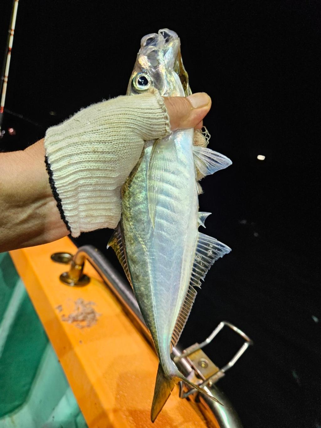 F2470763E8.jpg