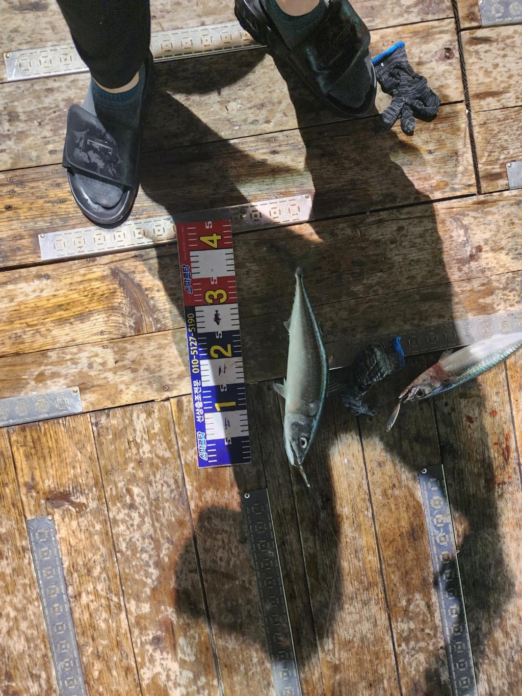 F2470766MX.jpg