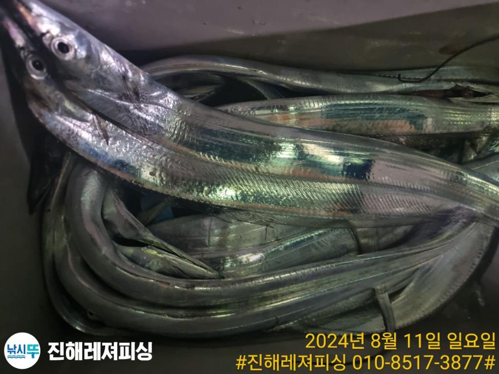 F24717780D.jpg