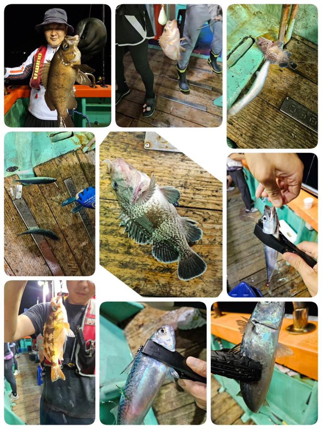F2472193RY.jpg
