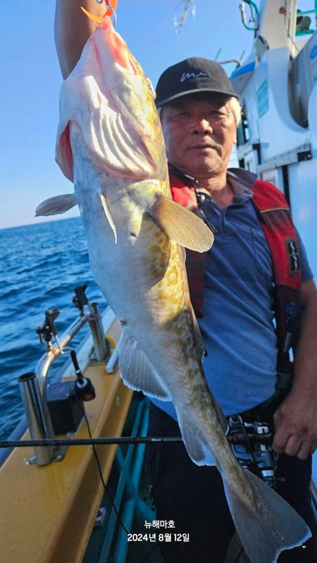 F2472346X5.jpg