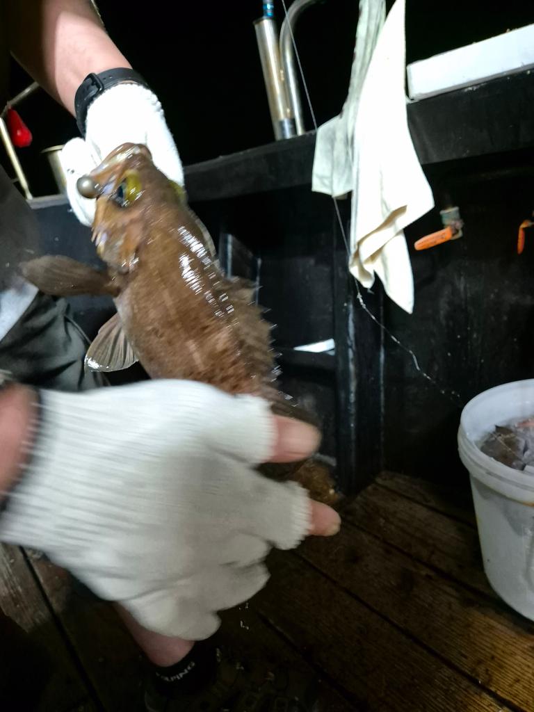 F2472458OC.jpg