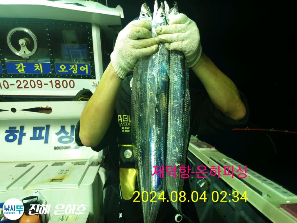 F2472798TU.jpg