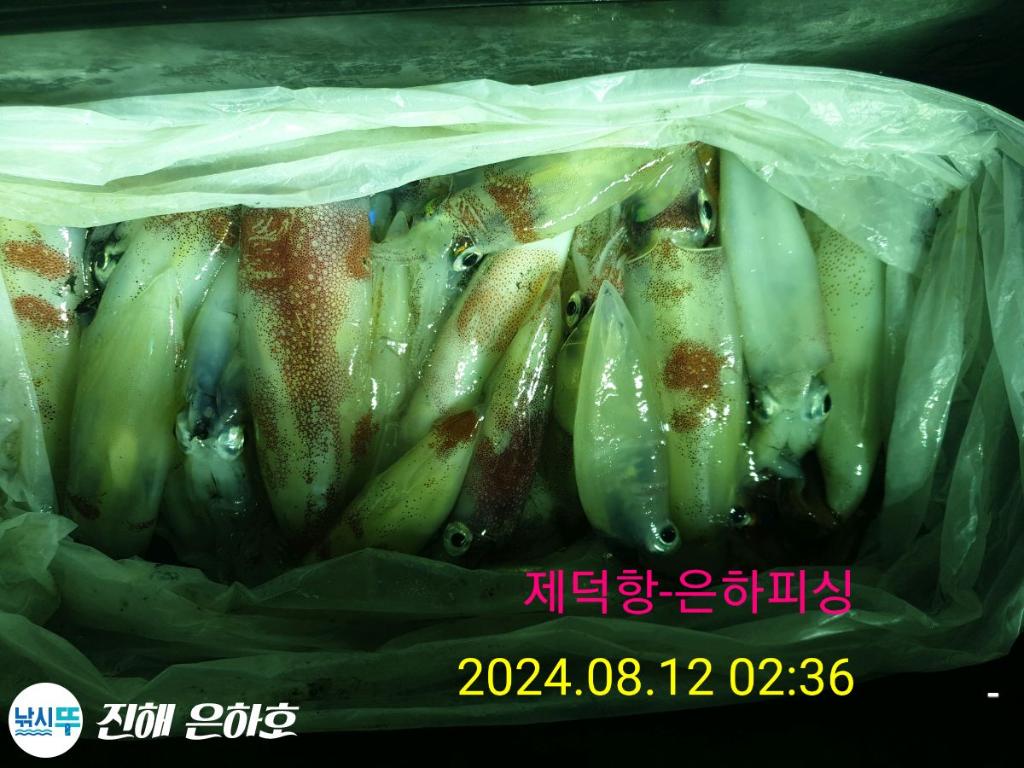 F2472810IG.jpg
