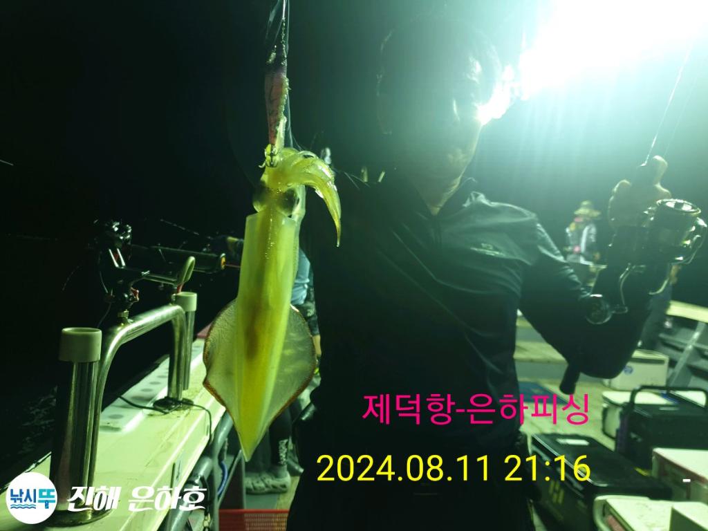 F2472820GV.jpg