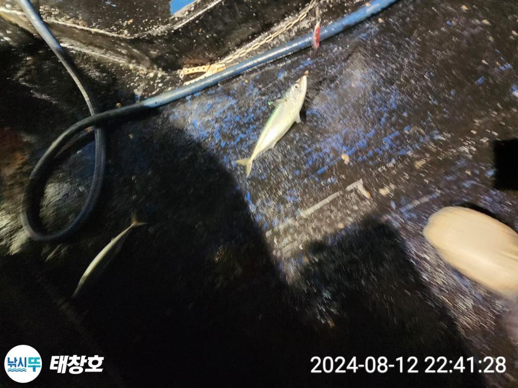 F24729220S.jpg